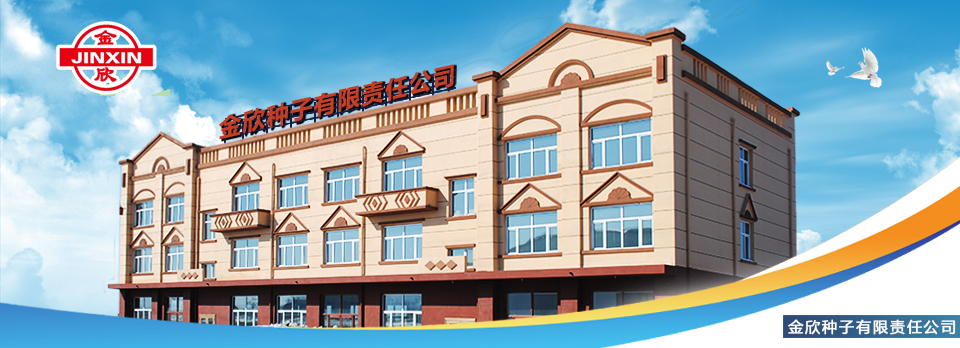 關(guān)于金欣種業(yè)有限公司